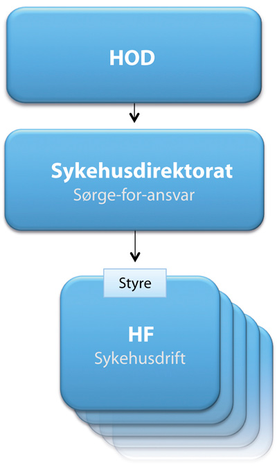 Figur 7.2 Styringsstrukturen i alternativ 2 med sykehusdirektorat i eierlinjen