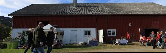 Glimt fra en festival i Økolandsbyen i Hurdal.