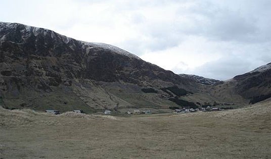 Hoddevik
