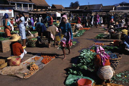 Figur 5.4 Marked på Madagaskar