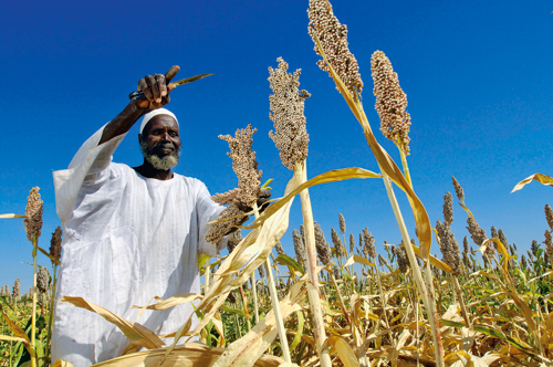 Figure 3.5 The food crisis has led to increased focus on national food
production.
