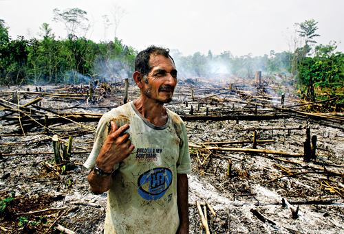 Figure 4.7 Half of the world’s remaining tropical rain forest
is in the Amazon basin. Brazil is therefore an important climate
policy partner.