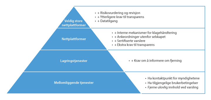 Figur 8.1 Ansvarsforpliktelser for selskap gjennom DSA