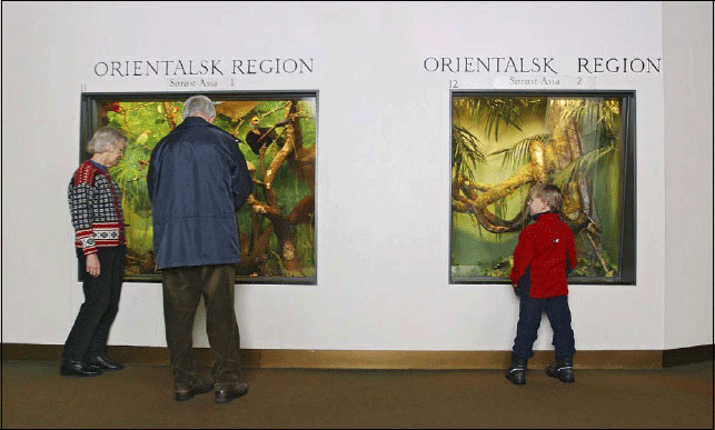 Figur 5.1 Det er en utfordring å utvikle en museumsformidling
som engasjerer på tvers av generasjoner.
