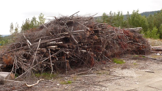 Restavfall fra skogbruket.