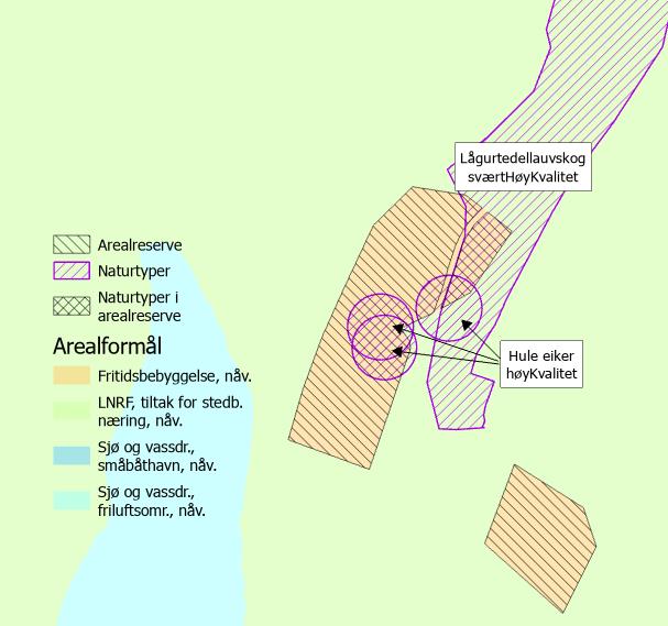 Kartlagte Naturtyper lagt over arealreserven. De dobbeltskraverte områdene er registrerte naturtyper som kan gå tapt hvis arealreserven bygges ned.