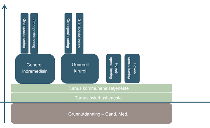 Figur 10.3 Oppbygging – legenes nåværende spesialistutdanning