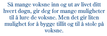 Figur 10.3 Barnevernsproff, 17 år