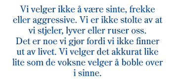 Figur 3.2 Barnevernsproff, 17 år