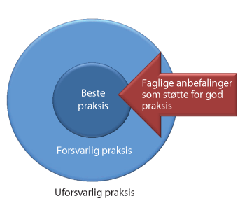 Figur 6.2 Faglige anbefalinger som støtte for beste praksis