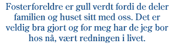Figur 9.1 Barnevernsproff, 14 år