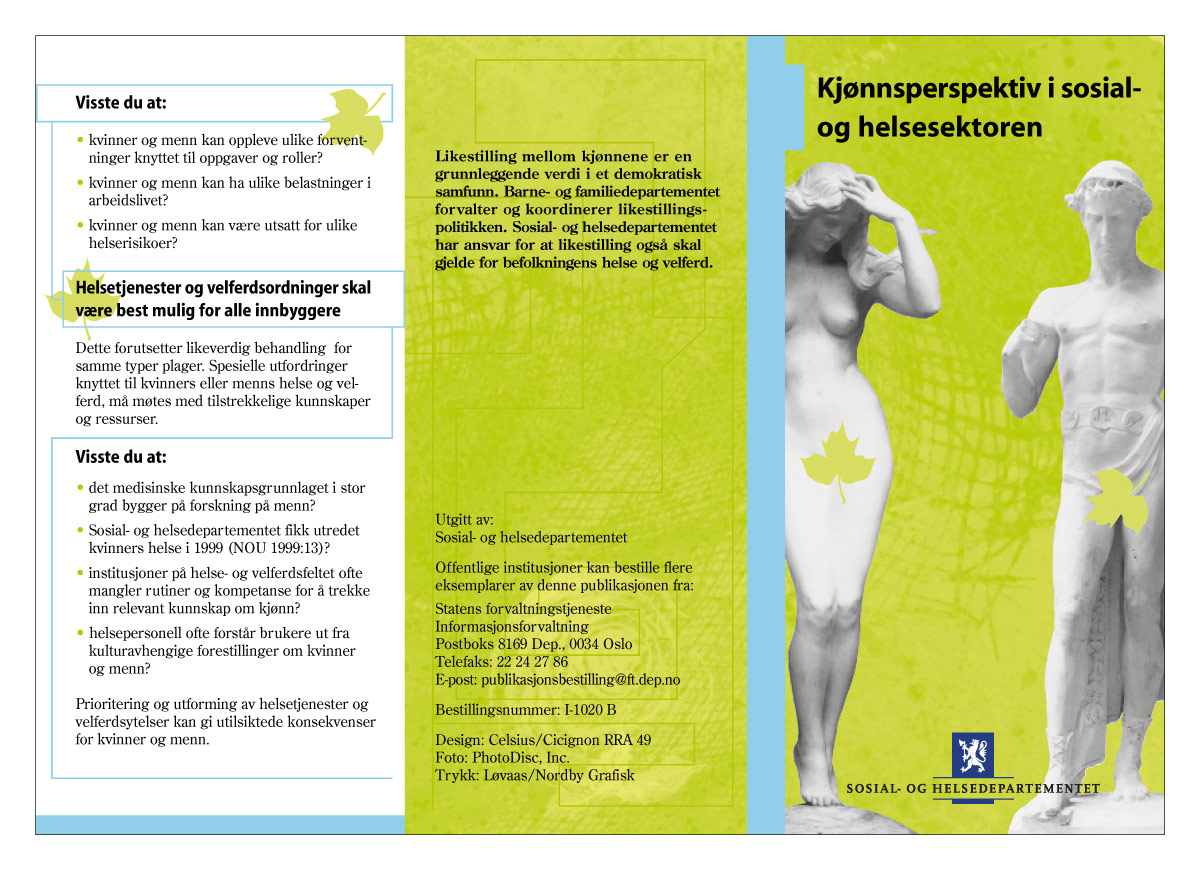 Figur 3.1 Kjønnsperspektiv i sosial- og helsesektoren (63).