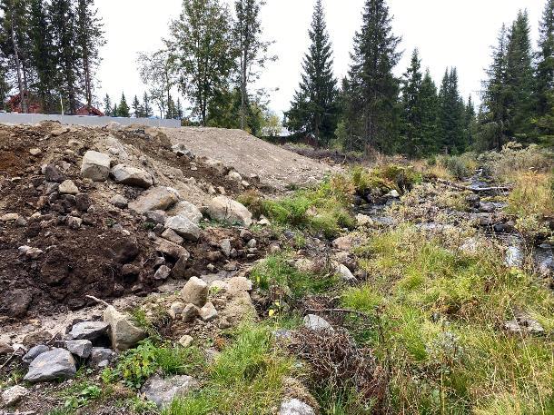 Reguleringsplanar må sikre naturleg kantvegetasjon langs vassdrag gjennom føresegner og byggje-grenser.