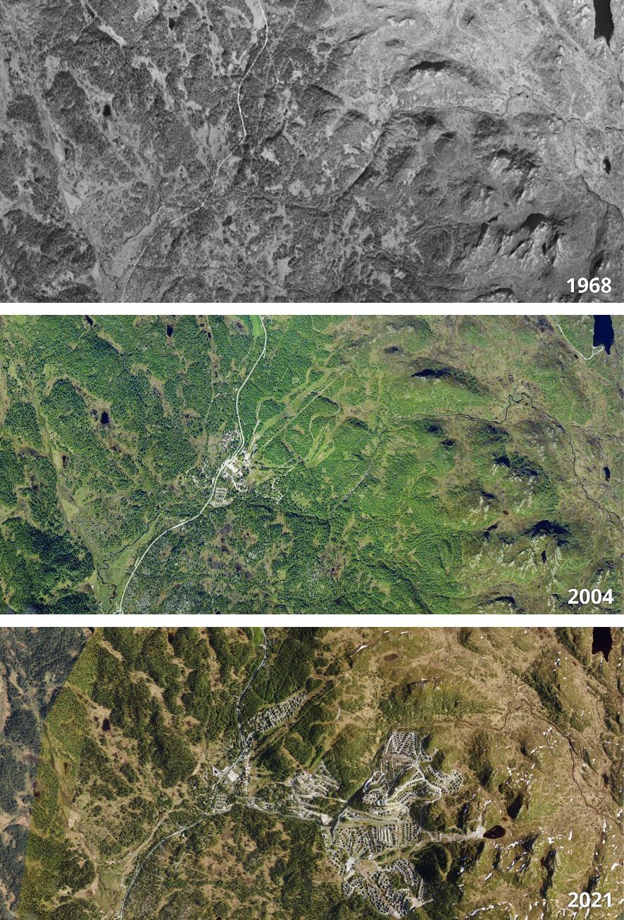 Utviklinga i Holtardalen i Rauland i Vinje kommune i perioden 1968–2021.