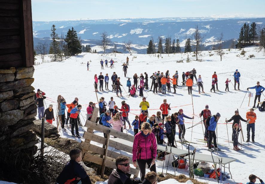 Område for felles leik og opphald