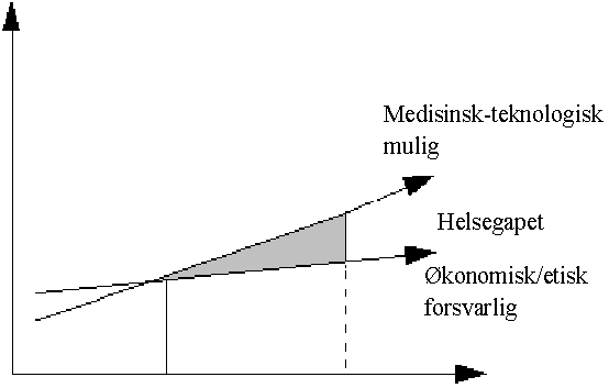 Figur 5.1 «Helsegapet»