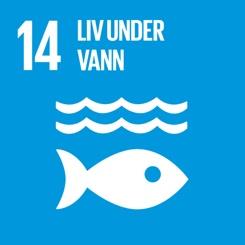 14 Liv under vann