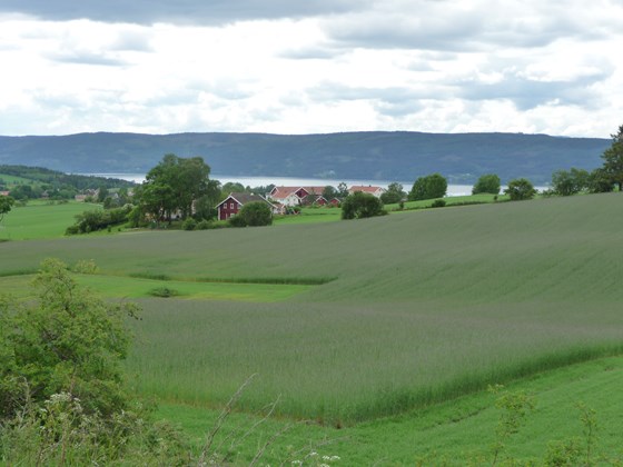 Grøne åkrar på Hadeland, raude og kvite trehus og ein innsjø.