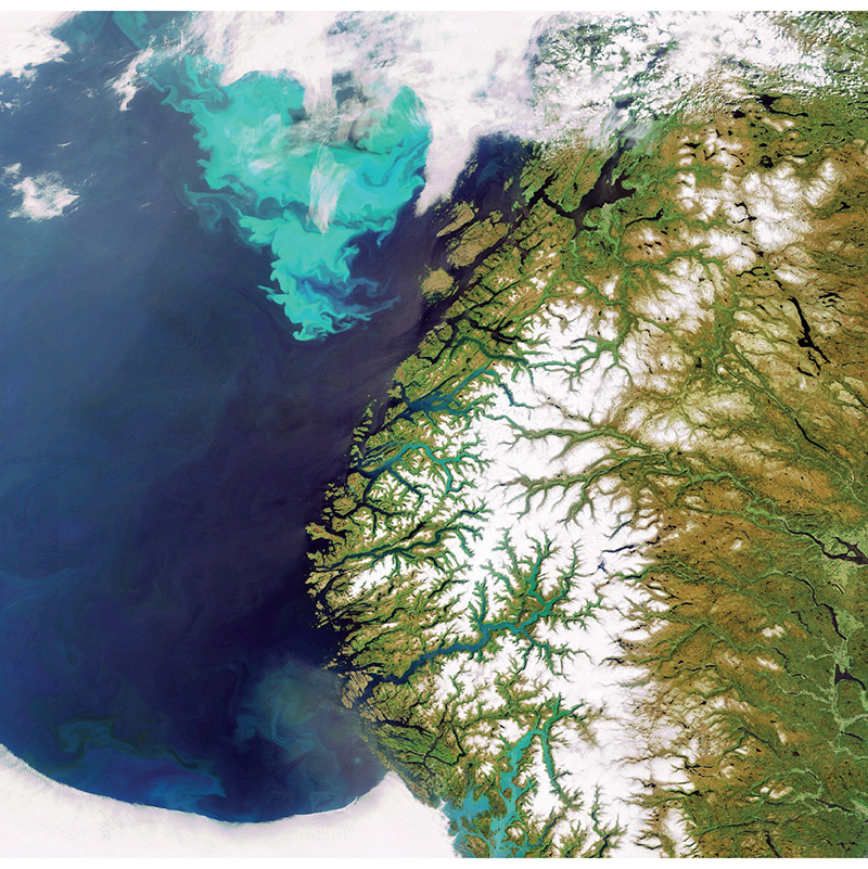 Figur 2.1 Oppblomstring av plankton på norskekysten. Bilde fra Envisats MERIS som er optimert for å fange opp farge i havet