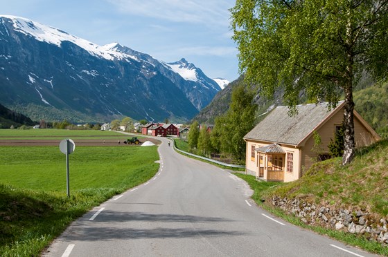 4.	Eikesdal. Gardane vi ser i bakgrunnen er Utigard og Austigard