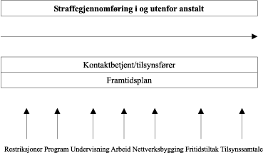Figur 2.5 Helhet og systematikk i straffegjennomføringen
