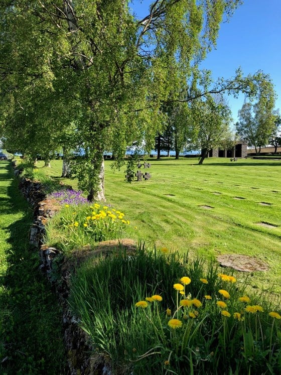 Havstein German War Cemetery at Byåsen in Trondheim. 