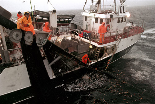 Figur 10.8 Regjeringens målsetting er en fiskeflåte som er tilpasset ressursgrunnlaget og som gir et biologisk og økonomisk bærekraftig ressursuttak.