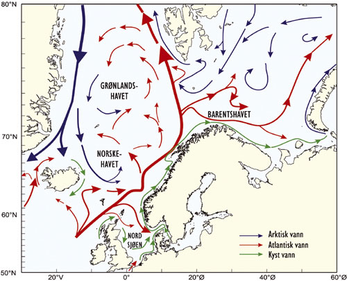 Figur 5.4 Norske farvann påvirkes av internasjonale havstrømmer.