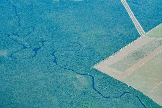 Amazonas