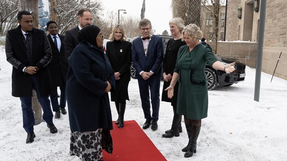 Bilde av Tanzanias president ute på rød løper med konprinsen og bistandsministeren