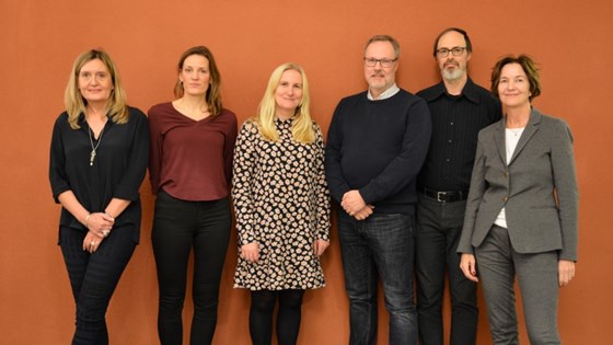 Gruppebildet av utvalget