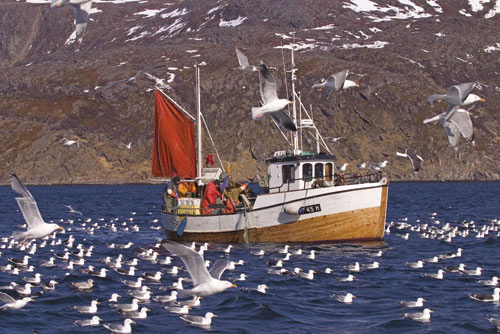 Figur 21.2 Sørøysund, Finnmark.