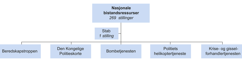 Figur 12.2 Organisering av Nasjonale bistandsressurser
