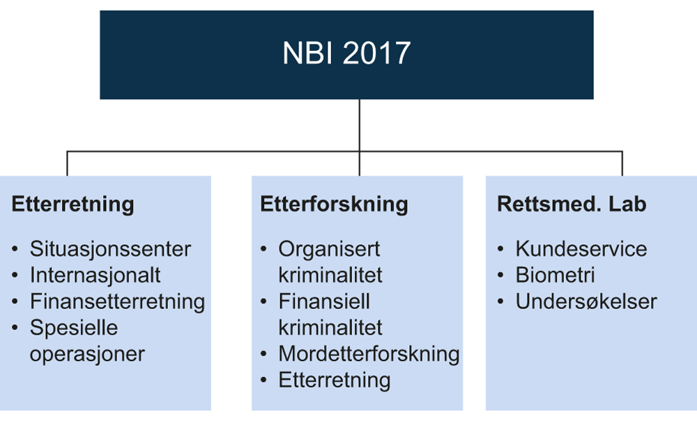 Figur 17.5
Organisering NBI