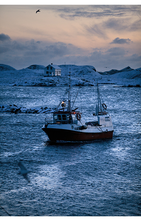 Figur 2.8 Havets ressurser har vært svært viktig for Norge i flere tusen år. God tilstand i havet og langs kysten er en grunnleggende forutsetning for at også framtidige generasjoner skal kunne høste av disse naturgodene.
