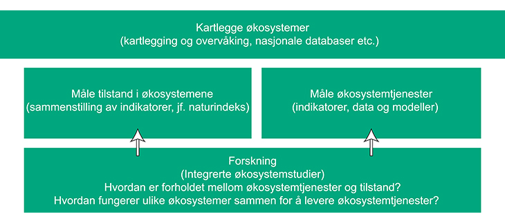 Figur 8.2 Kartlegging av økoysystemer
