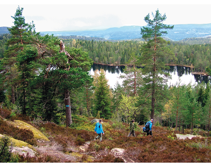 Figur 2.1 Skogstur langs blåmerket sti ved Kobberhaugvannet i Nordmarka ved Oslo.