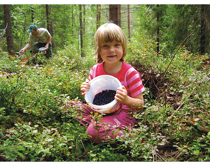 Figur 8.2 Det er et mål å øke deltakelsen i bærplukking og annen høsting i naturen.