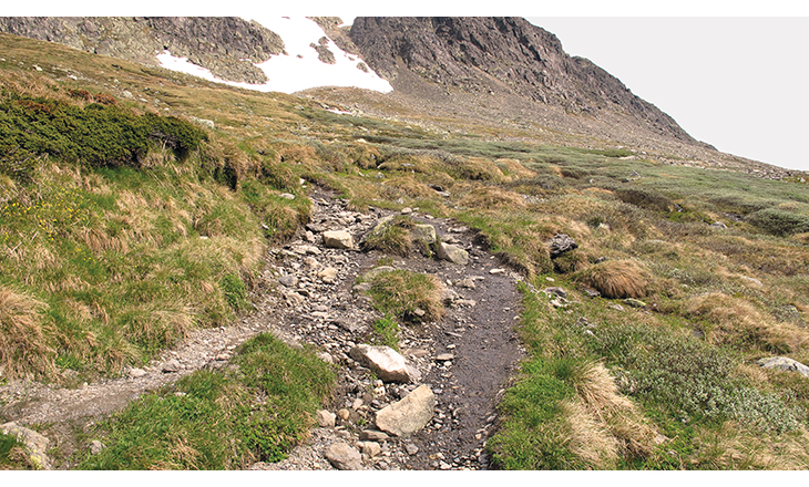 Figur 9.2 Prestholtrunden ved Geilo før steinsetting.