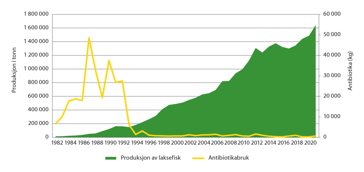 Figur 6.2 Antibiotikabruk i oppdrettsnæringa