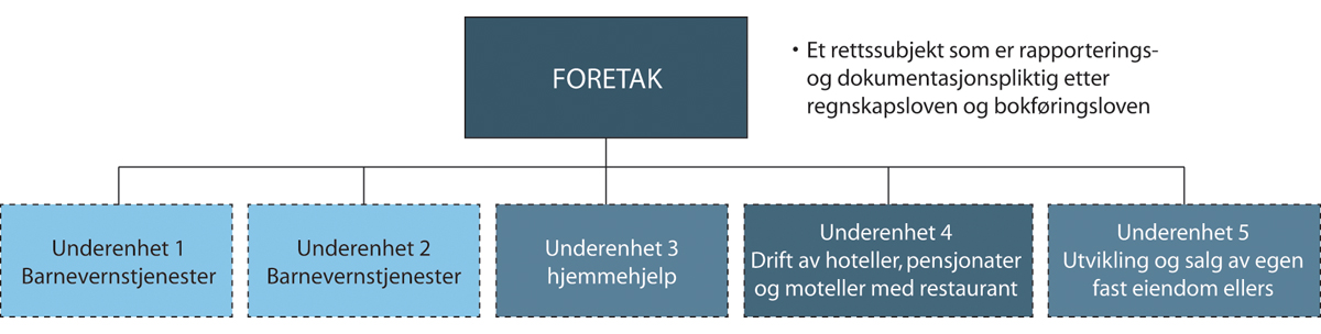 Figur 20.1 Sammenheng mellom foretak og underenheter, hypotetisk eksempel.
