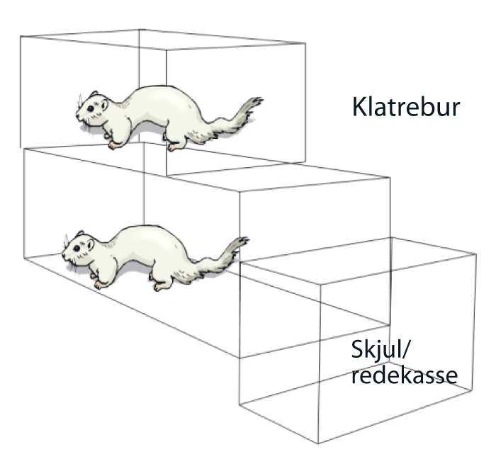 Figur 3.4 Standard klatrebur til mink