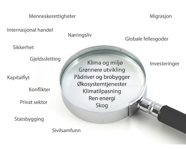Figur 1.3 Denne meldingens fokus i forhold til den brede utviklingspolitikken
