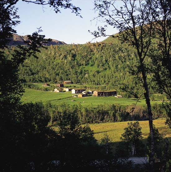 Figur 3.3 Samspillet mellom naturgrunnlaget og menneskers liv og virke
er ofte lettere å lese i marginale områder. Seteranlegget
Vålåskaret i Meldal har sannsynligvis en gang
gått over til fast bosetting som følge av befolkningsøkning.
Men kornmodninge...