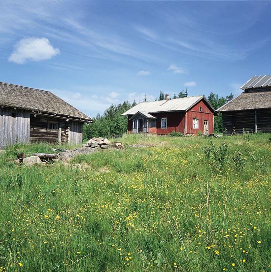 Figur 8.2 Norge har et spesielt ansvar for å ta vare på de
nasjonale minoritetenes kulturminner. Skogfinnenes boplasser i Hedmark
er blant disse kulturminner. Kvåho, Kongsvinger.