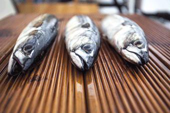 Figur 1.2 Pelagisk fisk.