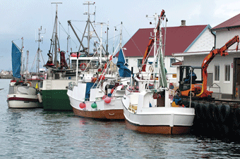 Figur 6.1 Fiskebåter på Røst i Lofoten.