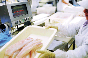 Figur 9.2 Del av produksjonslinje i fiskeindustrien.