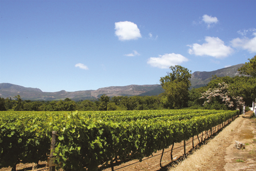 Figure 5.1 The agricultural sector is one of the most profitable for investments
in developing countries.