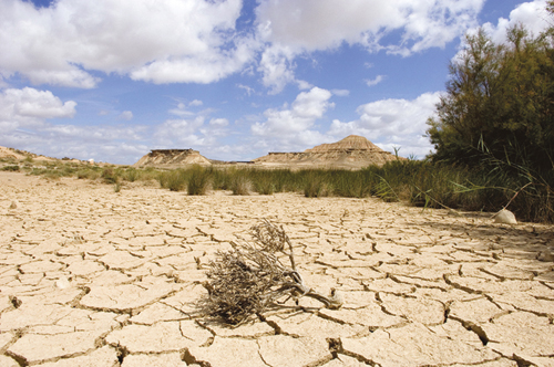 Figure 7.2 Warmer weather makes it difficult to cultivate the land in
many places.